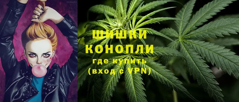 Бошки марихуана SATIVA & INDICA  магазин продажи   Гаврилов-Ям 